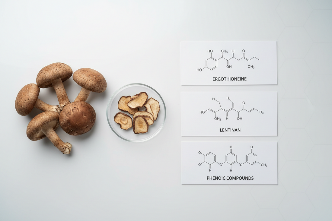 Shiitake Mushrooms: Benefits for Immunity, Heart Health, Gut Function &  How to Use Them Daily (With Recipes)