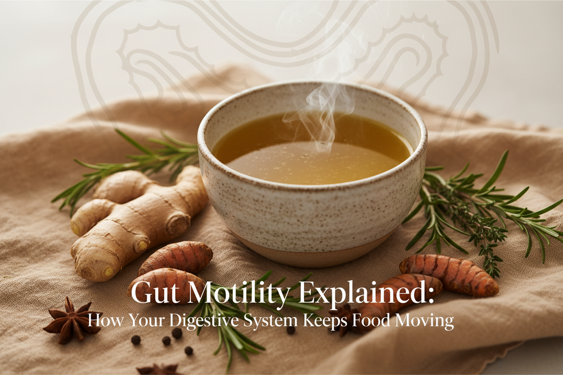 Gut Motility Explained: How Your Digestive System Keeps Food Moving