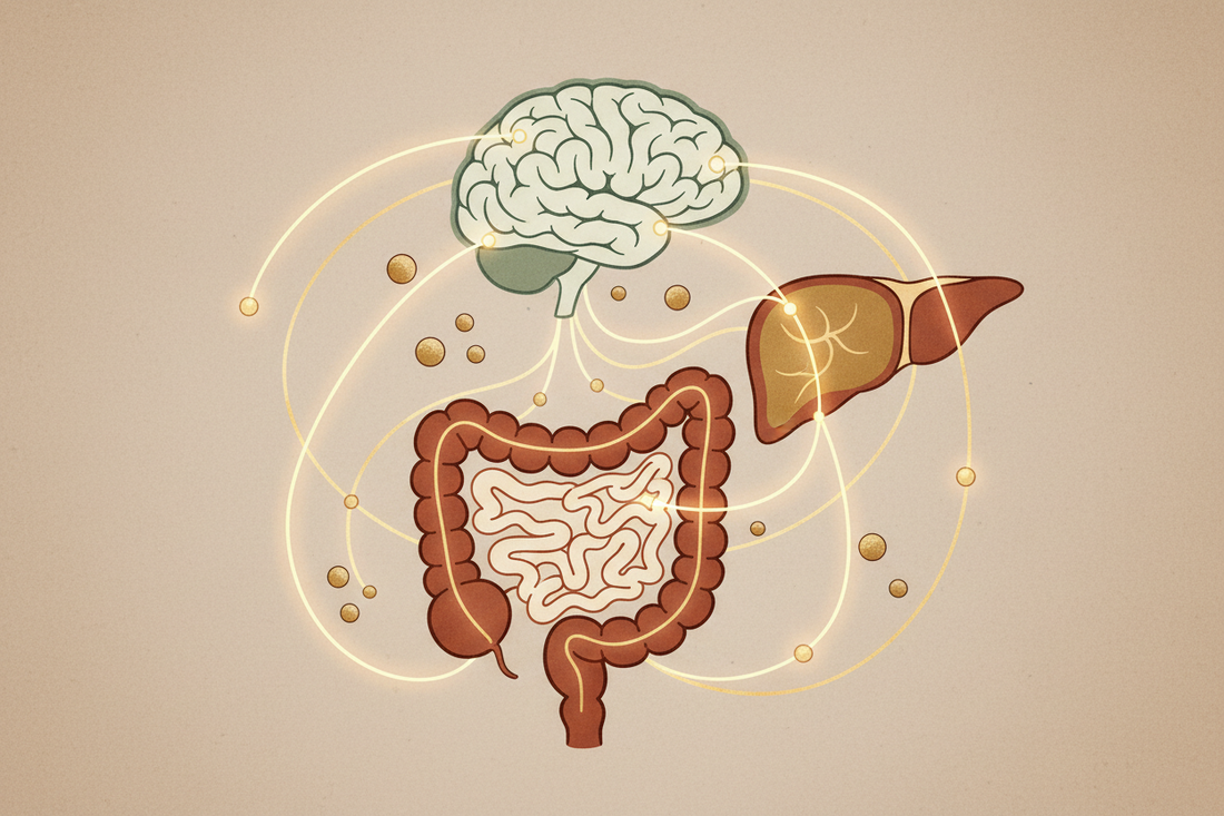 Nutrient Sensing Explained: How Your Body Knows What You've Eaten