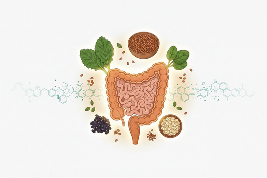 PFAS, Fibre & the Gut: Can Dietary Fibre Help Reduce Reabsorption of “Forever Chemicals”?