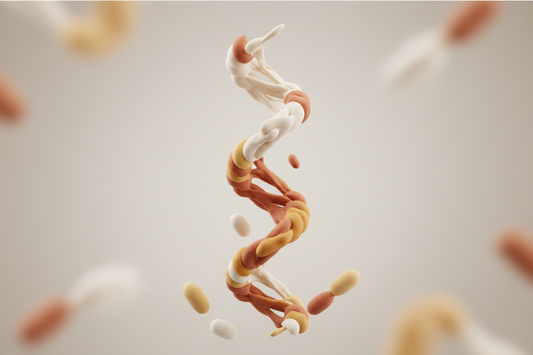 Proline Explained: The Amino Acid That Starts Collagen Formation