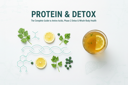 Understanding the Body's Natural Detoxification Systems: Nutrition, Protein & Everyday Wellbeing