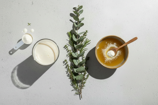 Whey Protein vs Collagen & Bone Broth: Understanding the Difference