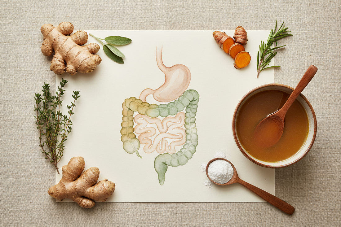 SIBO Explained: What Is Small Intestinal Bacterial Overgrowth?