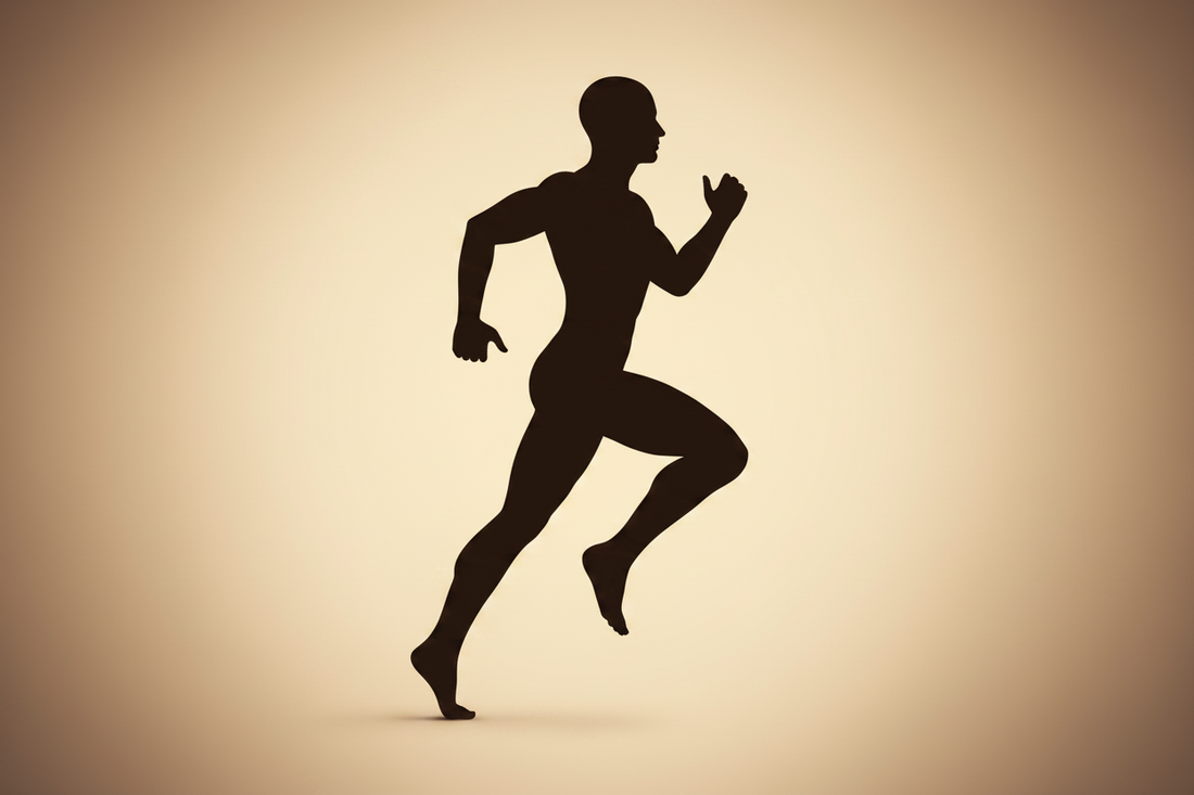 The Biology of Human Performance: Why Your Body Was Designed to Move, Adapt &amp; Recover
