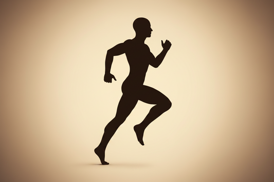 The Biology of Human Performance: Why Your Body Was Designed to Move, Adapt &amp; Recover