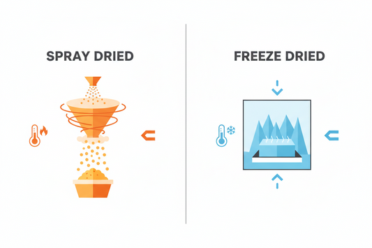 Freeze-Dried vs Spray-Dried Bone Broth: Which Is Better for Quality & Nutrition?