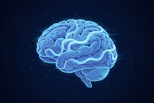 What Happens to Your Brain While You Sleep? The Science of Brain Clearance, Repair & Recovery