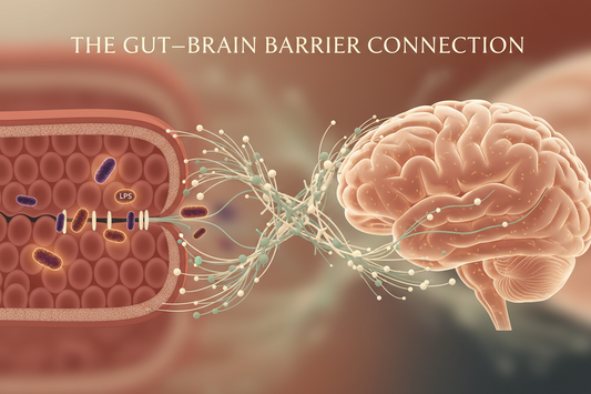 The Gut–Brain Barrier Connection: How Intestinal Permeability, LPS &  Inflammation May Influence the Brain