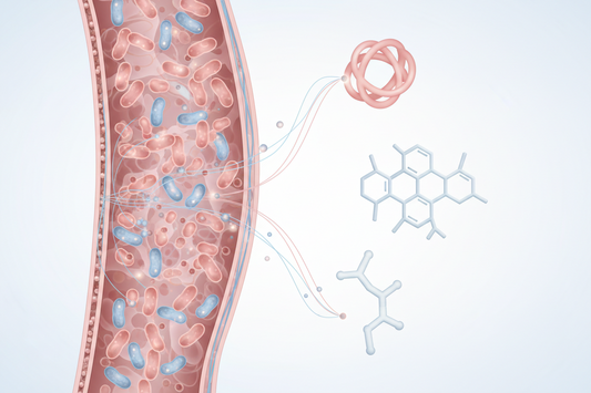 The Gut-Hormone Connection: What Women Need to Know About Metabolic Health