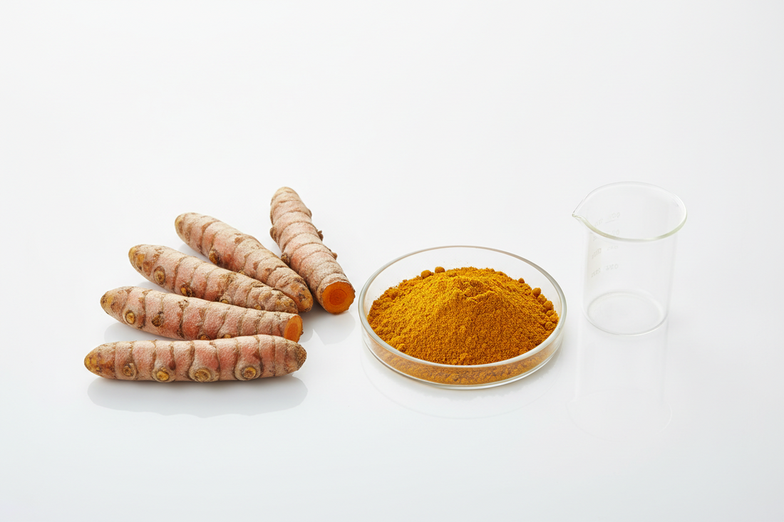 Turmeric Benefits Explained: Why This Golden Spice Has Been Used for Centuries