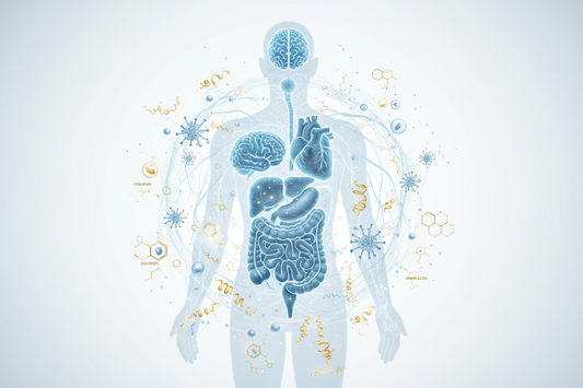 Why Everything in Your Body Is Connected: A Systems Biology Approach to HealthWhy Everything in Your Body Is Connected: Understanding Health, Nutrition and Systems Biology