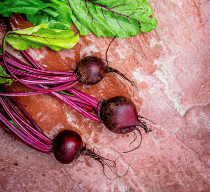 VegEase Beetroot Powder 20g (7 serves) | Superfood for Super Kids | Buy Online - Broth And Co